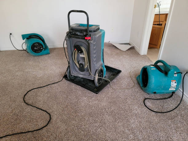Best Water damage restoration near me  in Warrenton, GA