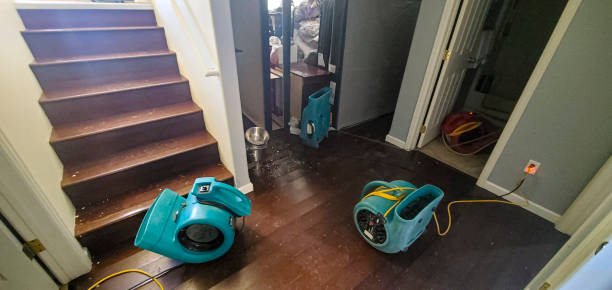 Best Sewage cleanup and water damage restoration  in Warrenton, GA