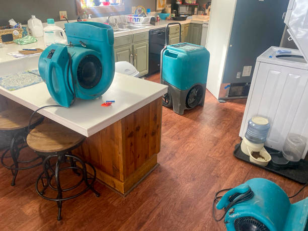 Best Sewage cleanup and water damage restoration  in Warrenton, GA