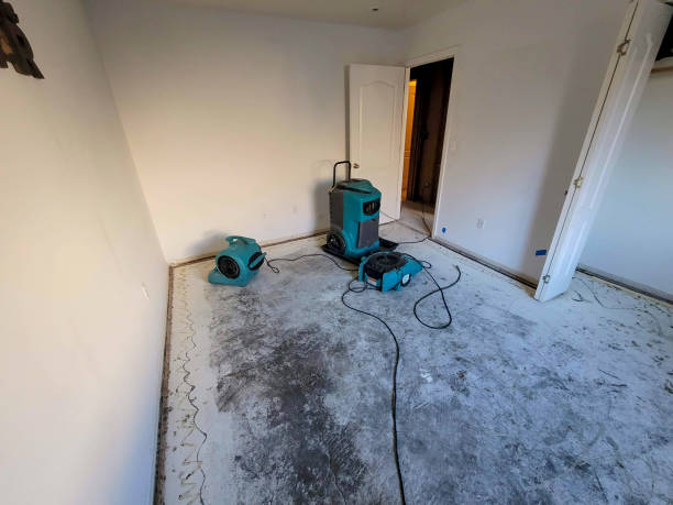 Best Residential water damage restoration  in Warrenton, GA