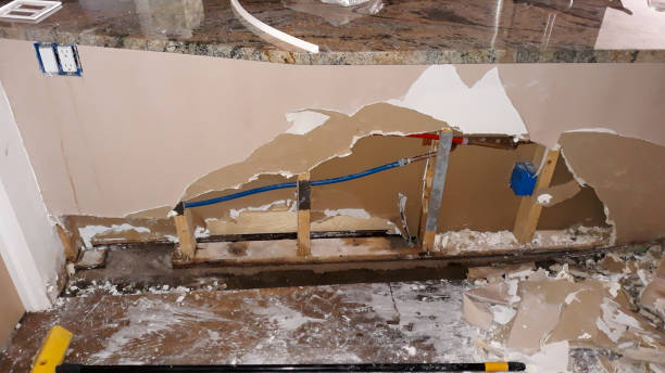 Best Flooded house restoration  in Warrenton, GA
