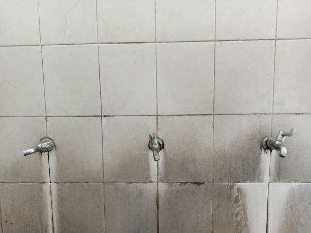 Best Professional water damage repair  in Warrenton, GA