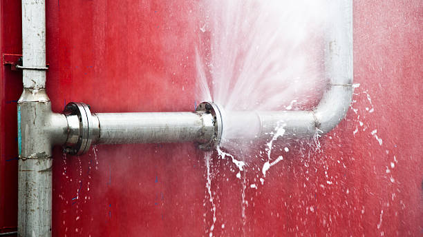 Best Mold removal after water damage  in Warrenton, GA